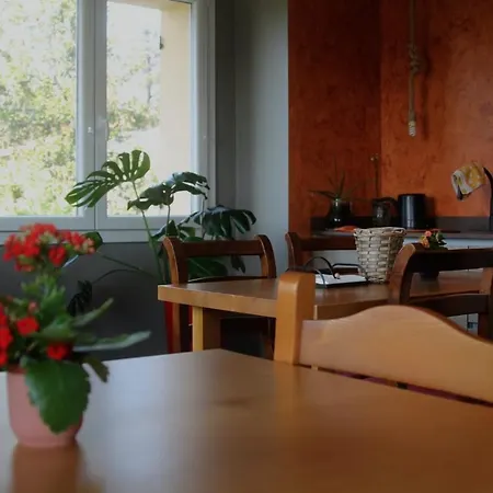 Nocleg ze śniadaniem Gasper 4*