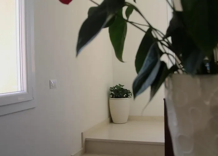 Gasper Nocleg ze śniadaniem